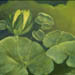 Water lily painting