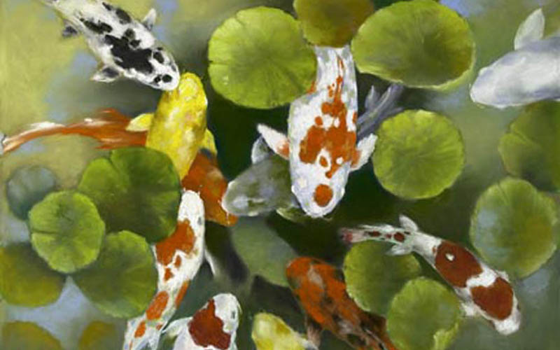 Koi Painting